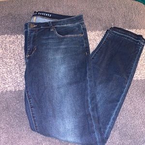 Articles of Society Skinny Jean